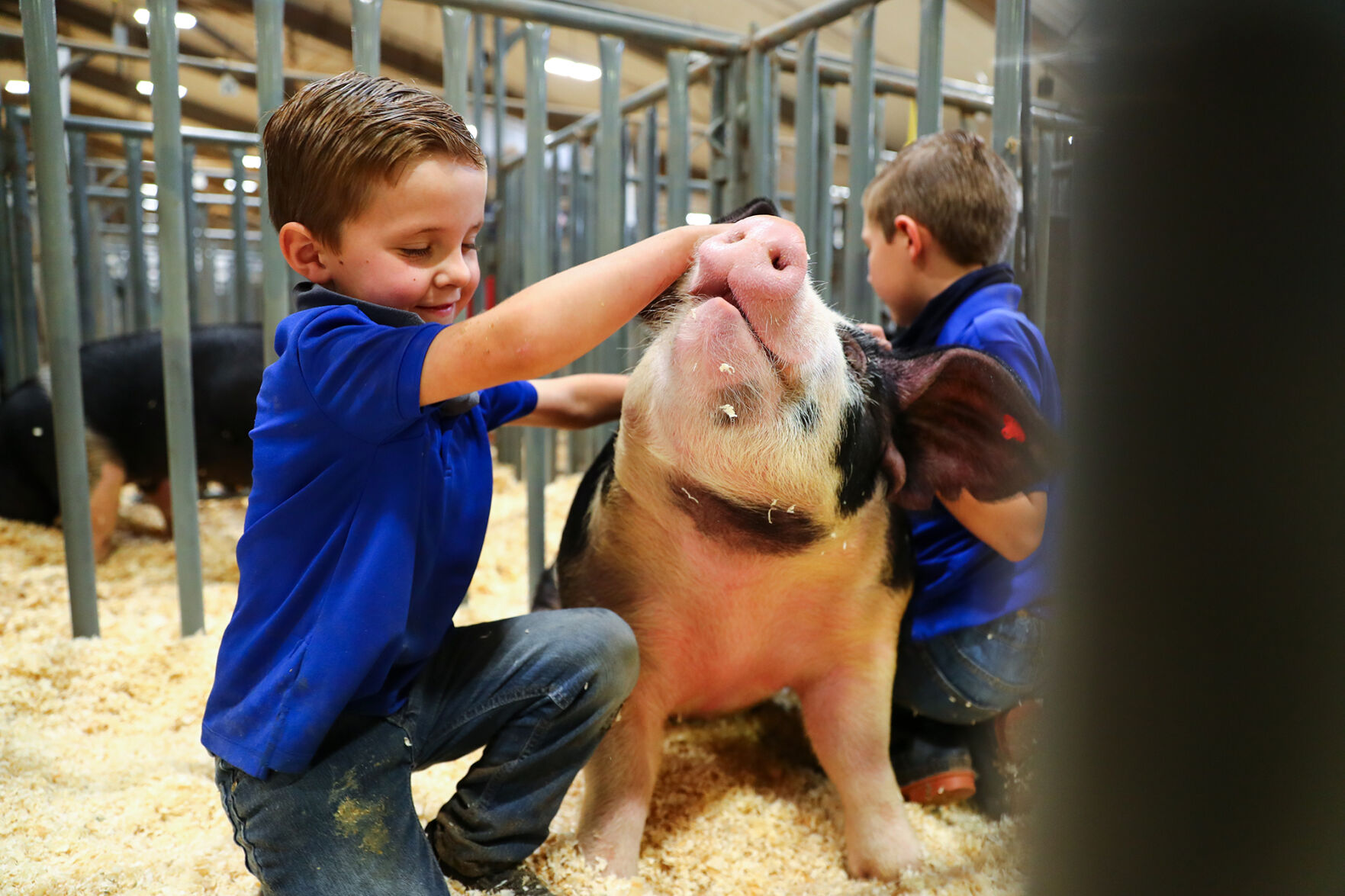 Brazos Valley Youth Livestock Show